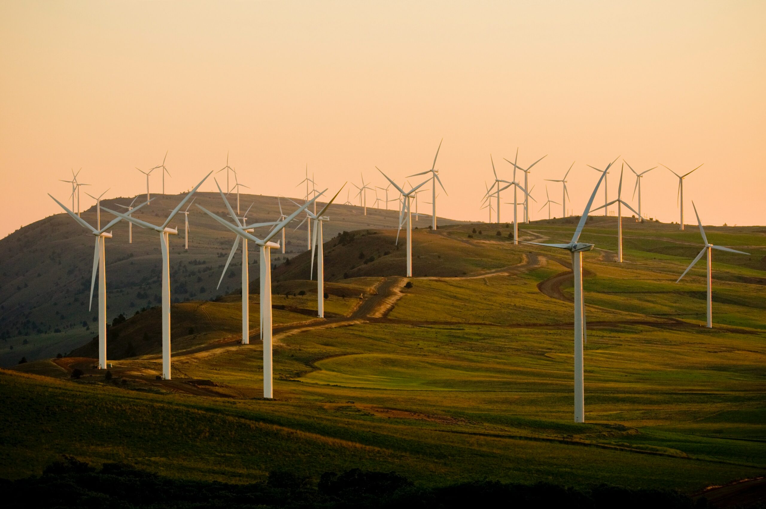 Renewable Wind Energy